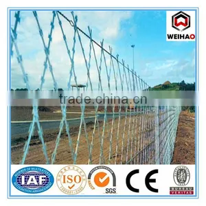 Carton Coil Razor Wire for Industry thumbnail-2
