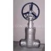 Pressure Seal Gate Valve thumbnail-1