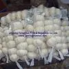 China Fresh Garlic thumbnail-1