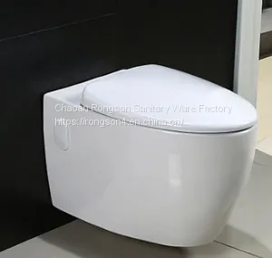 Wall Hung Anglo Indian Toilet Bowl With Cistern China thumbnail-2
