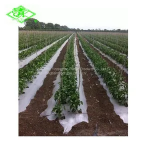 Factory Direct Sales of Silver Shine Plastic Mulch Films thumbnail-3
