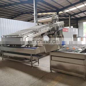 Automatic Shrimp Peeling Machine Capacity:300kg(Raw Shrimp)/h thumbnail-3