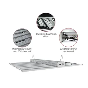 Indoor Growing Newest IP65 Led Grow Light 600w 800w 1000w 0-10v Daisy-chain for Indoor Grow Room Greenhouse Medical Plants Veg Flower Harvest thumbnail-3