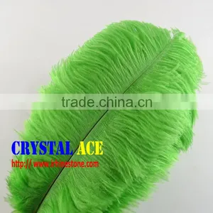 Hot- Selling China Ostrich Craft Feathers Plumage in Bulk Green Color for All Decor thumbnail-1