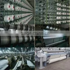 Shijiazhuang Brightness Textile Co., Ltd. company overview - view 2 thumbnail