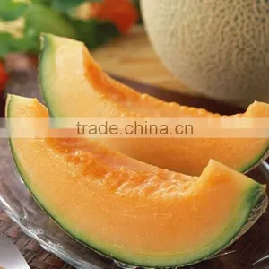 Fresh Melon Sweet Melon Price thumbnail-2