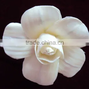 Sola Flower thumbnail-1
