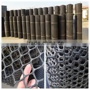 Mutiple-purpose Plastic Mesh/diamond &square Mesh thumbnail-5