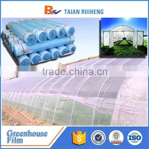 Professional Factory Greenhouse Plastic Film, PE Greenhouse Plastic thumbnail-2