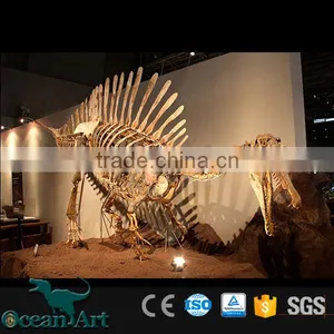 OA-DS-16051301 Replicated Dinosaur Fossils thumbnail-3