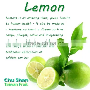 Hot Sale Fresh Green Lemon for Taiwan thumbnail-5