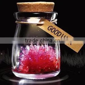 DIY Novelty Gift Magic Growing Wishing Crystal Flower thumbnail-3