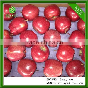Export Red Delicious Apple Company thumbnail-1