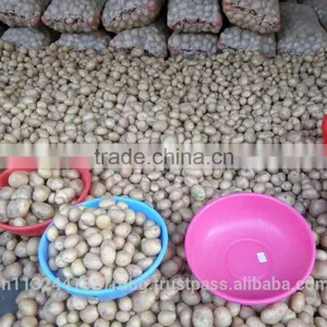 Indian Fresh Yellow , White Potatoes thumbnail-1