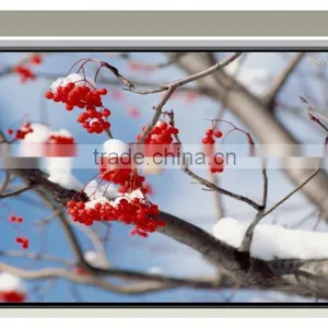 16:9 Format and Matt White,matt White / Glass Fabric Material Electric Tensioned Projector Screen thumbnail-5
