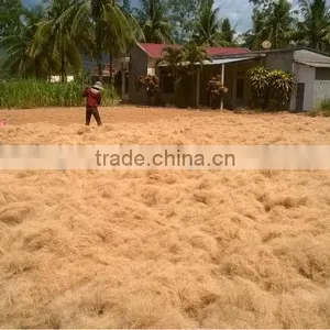 Coconut Fiber (QQ : 2598494113) thumbnail-4