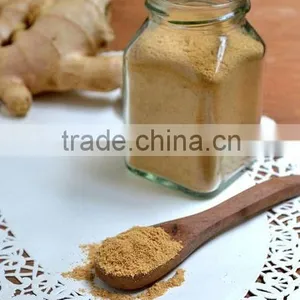 Natural Ginger Root Extract Powder Gingerol thumbnail-3