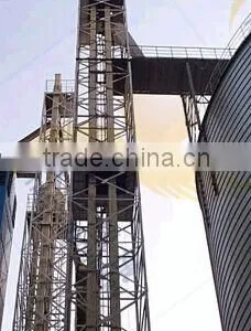 China Supplier Factory Price Large Capacity Carbon Steel Vertical Food Grade Bucket Elevator Design thumbnail-5