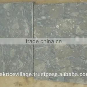 Fossil Marble thumbnail-1
