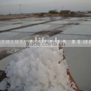 Raw Salt ( Crystal Salt) thumbnail-1