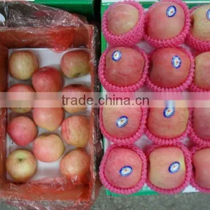 Qixia Red Fuji Apple thumbnail-1