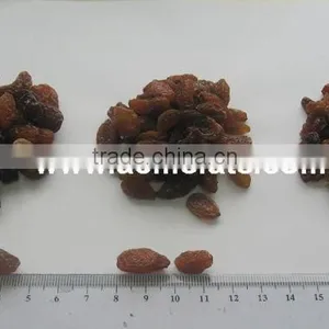 AAA Grade 95% Xinjiang Brown Raisin thumbnail-5