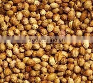 Coriander Seeds thumbnail-1
