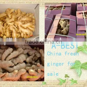 Organic Fresh Ginger thumbnail-5