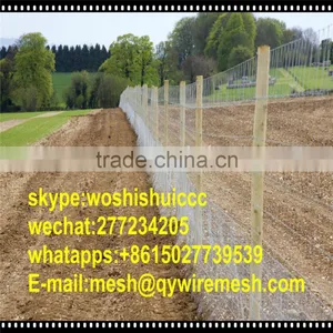 Wholesale High Tension 1980N Hinged Joint Field Fence For Sales thumbnail-6