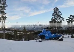 Cheap Price 2016 New 200cc Kid Snowmobile/snowscooter thumbnail-6