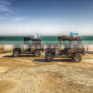 BUGGY 800 thumbnail-3