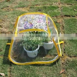 Greenhouse,mini Greenhouse,garden Greenhouse,flower House(SB10-10-I) thumbnail-1
