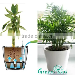 Different Sizes and Material Large Plant Pots thumbnail-1