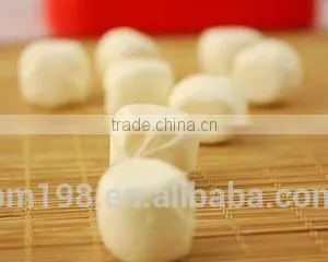 Soft Candy China Processing Machinery thumbnail-6