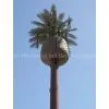 Monopalms Tower thumbnail-1