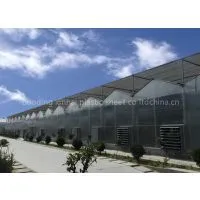 XINHAI UV Protected Polycarbonate PC Hollow Panelby Bayer thumbnail-2