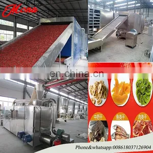 Fruit Hot Air Mesh Belt Dryer / Food Dehydrator Mesh / Drying Machine for Fruits , Vegetables and Meat thumbnail-1