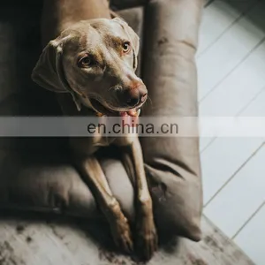 Warming Dog Beds Rectangle Washable Pet Bed With Breathable Fabric Sleeping Orthopedic Beds thumbnail-5