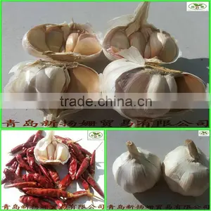 [HOT]2014 Fresh White Garlic Quality Agriculture Wholesale China/Garlic thumbnail-2
