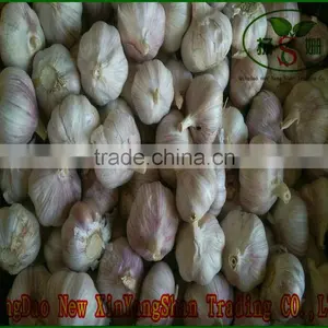 China's Shandong Province, One of the Best Fresh Garlic/white Garlic, Exports Europe and the United States, Southeast Asia thumbnail-2