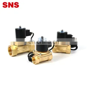 SNS 2WF Series 110V Explosion-proof Normally Closed Pneumatic Large Diameter Coil Brass Solenoid Valve thumbnail-2