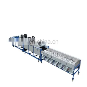 Onion Garlic Sorting and Grading Machine thumbnail-1