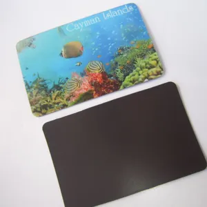Souvenir Promotional Gifts 3D Lenticular Fridge Magnet thumbnail-1
