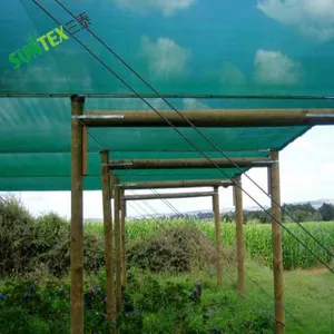 65% Shading Green Shade Net Roll 2*50m 4*50m 6*50m 8*50m Woven Shade Fabric for Plants Garden Ready to Ship thumbnail-5