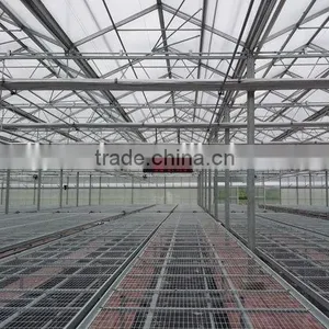Hot Sale Greenhouse Farming Equipment thumbnail-2