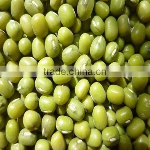 Mung Beans thumbnail-1