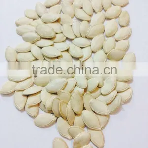 Bulk Vegetable Seeds China Shine Skin Pumpkin Seeds Grade a thumbnail-4