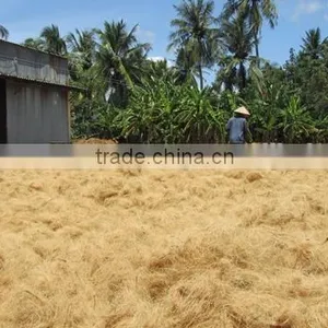 COCONUT FIBER FOR MATTRESS - ECO FRIENDLY PRODUCT thumbnail-2