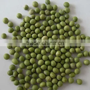 Lima Bean thumbnail-1
