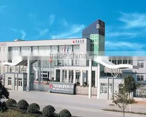 Ningbo Lingsheng Electric Appliance Co., Ltd. company overview - view 1 thumbnail
